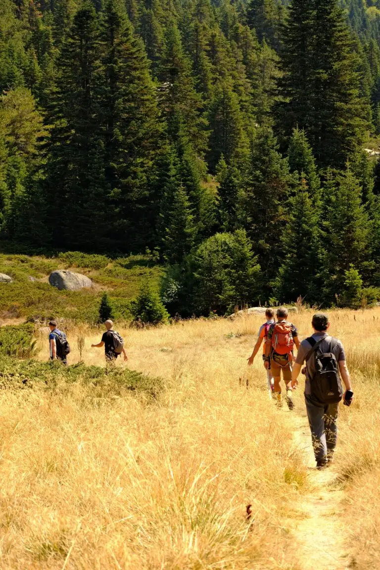 Small group hiking along sunlit mountain trail