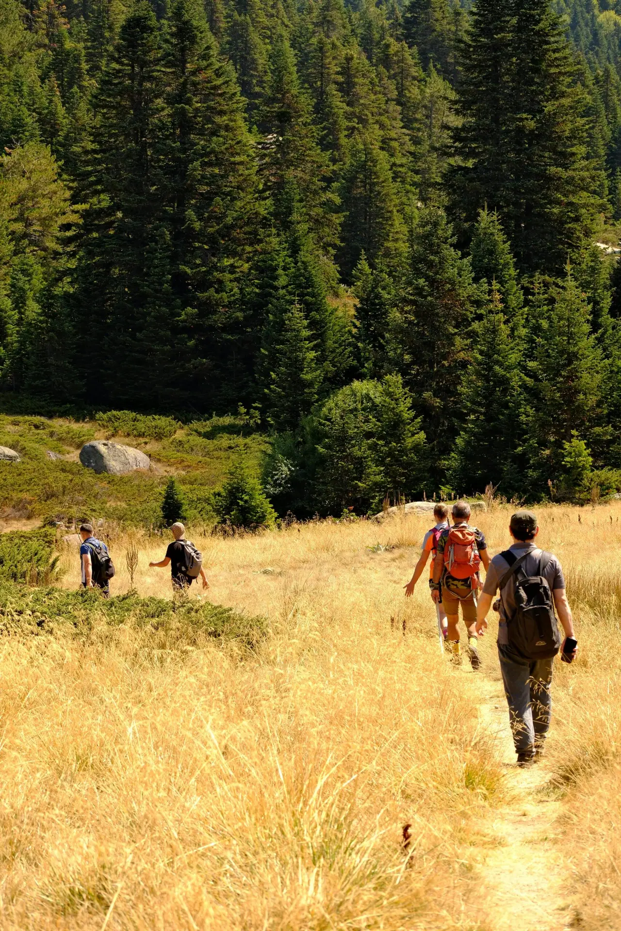 Small group hiking along sunlit mountain trail