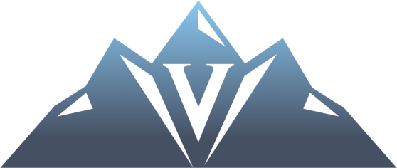 Valor Institute Logo